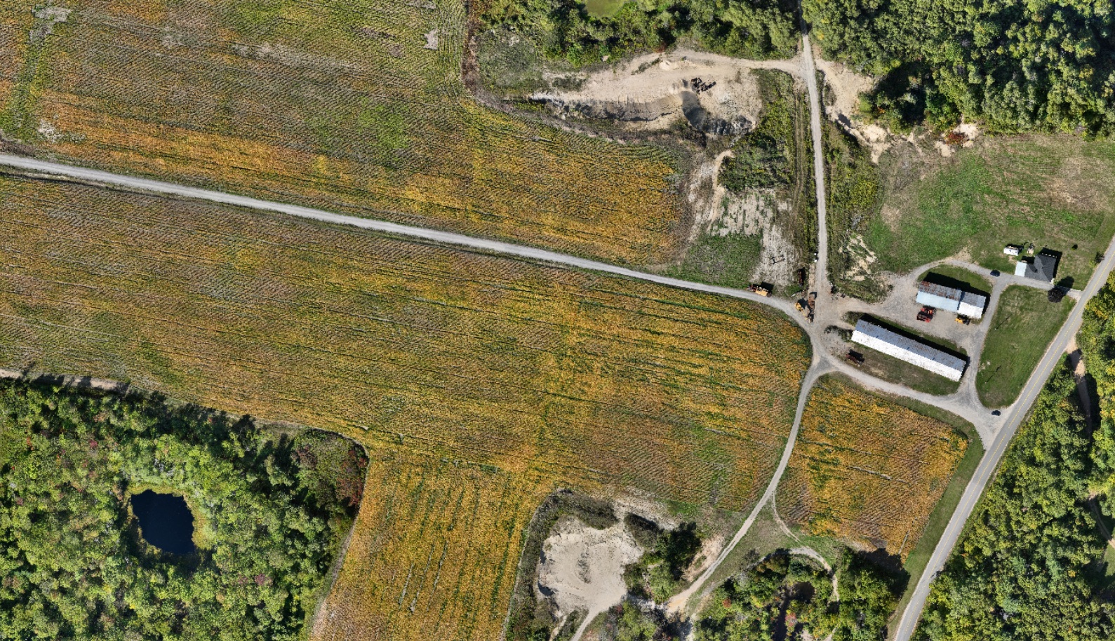 Orthophotographie verticale de terres agricoles bordées de boisés et traversées par un chemin