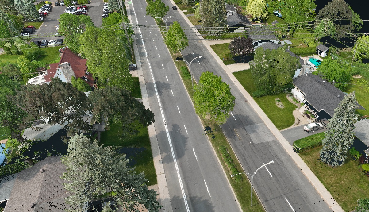 Nuage de points colorisé d'un boulevard résidentiel, avec ses arbres, ses lampadaires et ses entrées